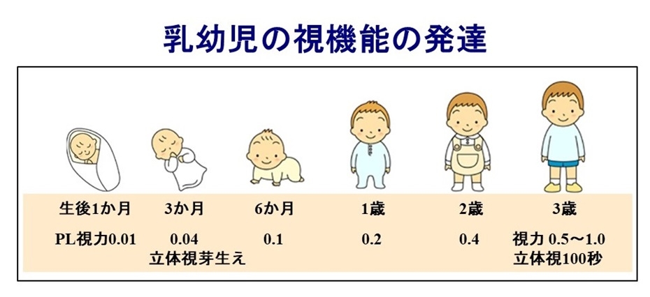 乳幼児の視機能の発達