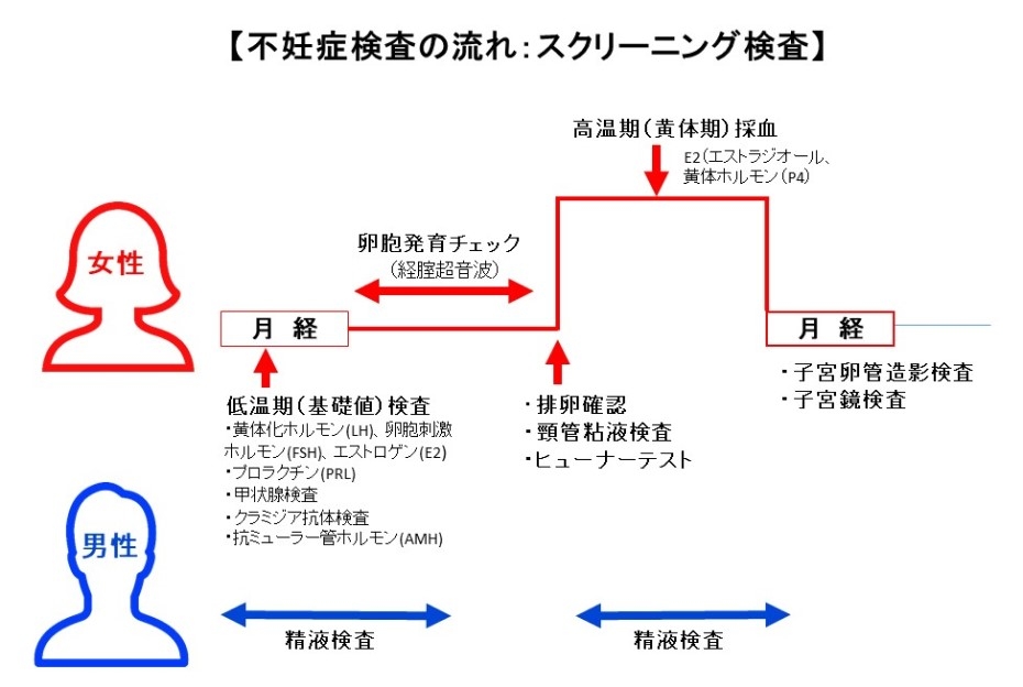 スクリーニング検査