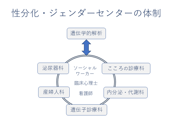 性分化・ジェンダーセンターの体制図