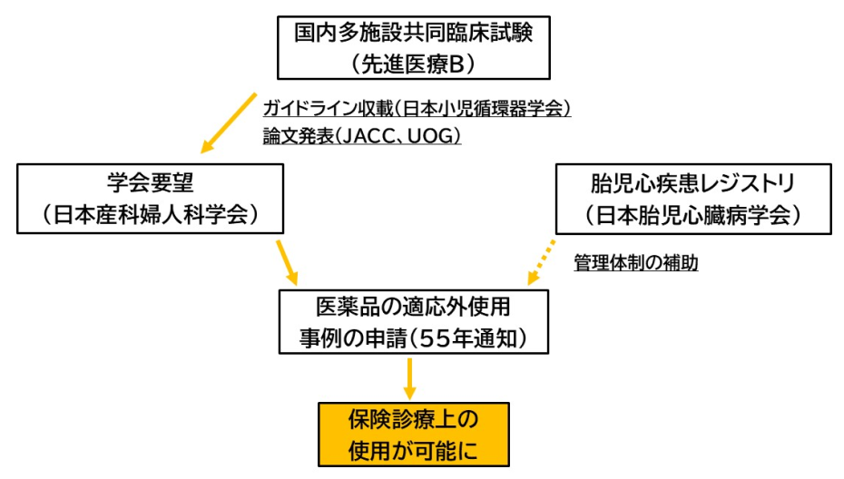 胎児頻脈性不整脈に対する胎児治療