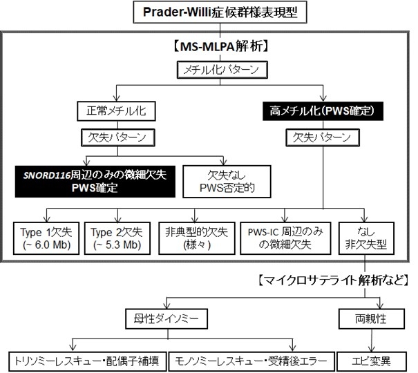 PWS図2.jpg