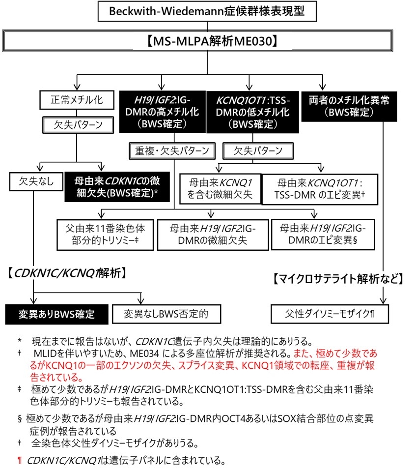 BWS図2.jpg