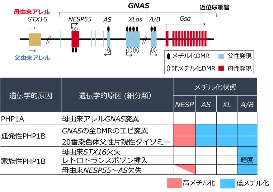 図2.jpg