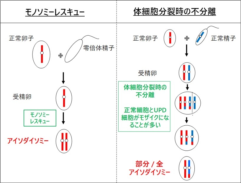 画像6.jpg