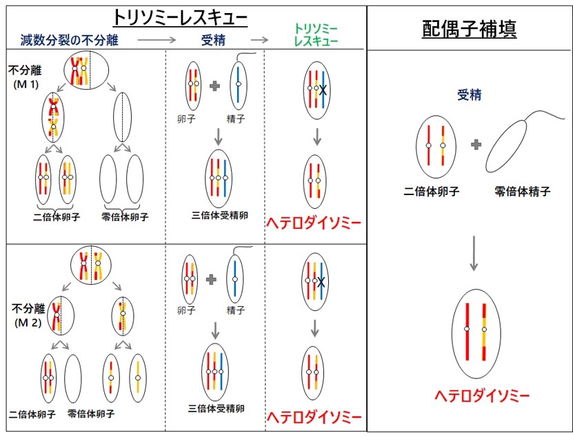 画像5.jpg