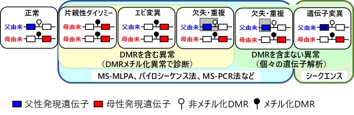 画像3.jpg