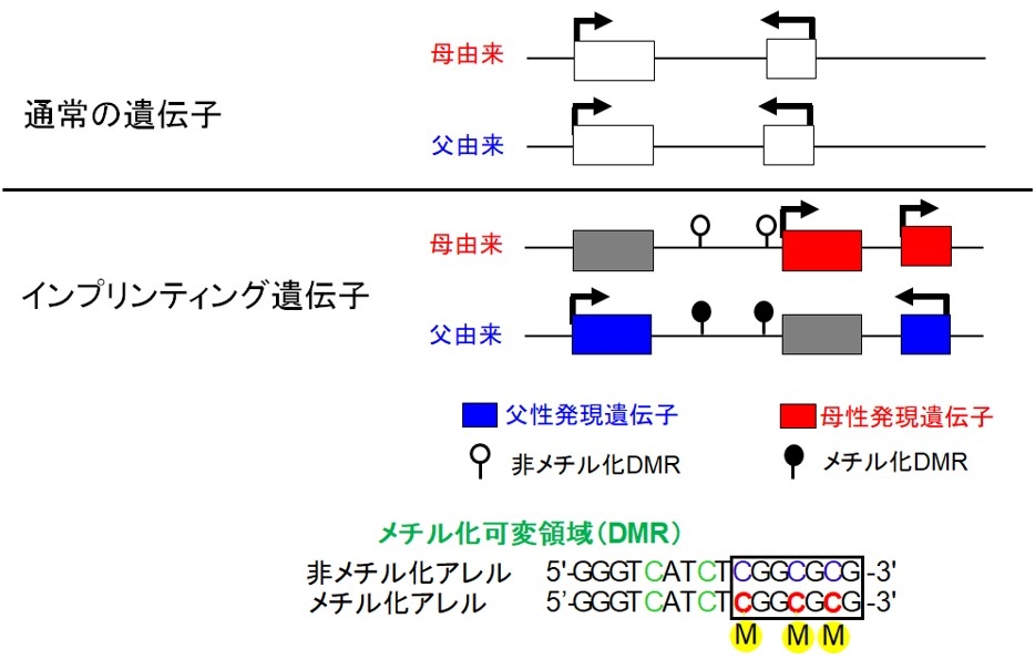 画像1.jpg