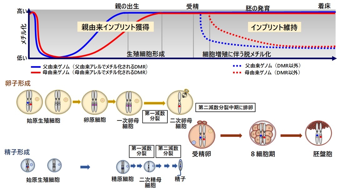 画像2.jpg