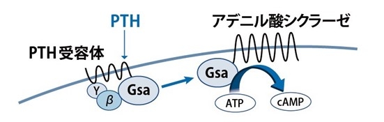 図1.jpg